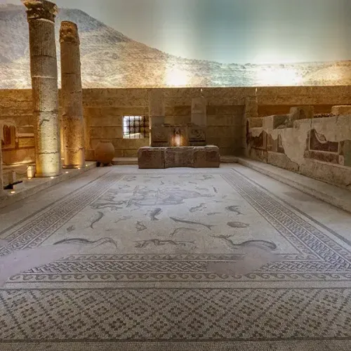 Zeugma Mosaic Museum