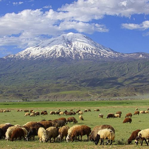 Ağrı Mountain