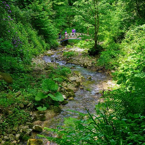 Aktaş Waterfall
