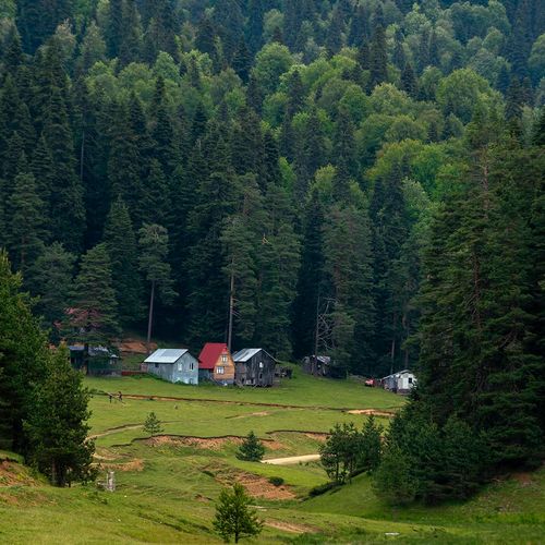 Balıklı Plateau