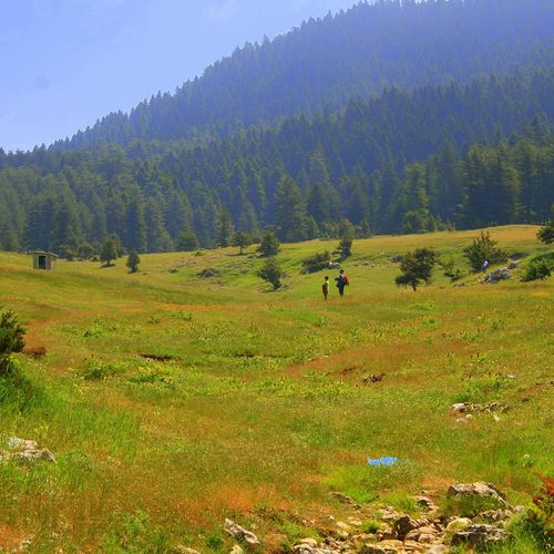 Başkonuş Plateau