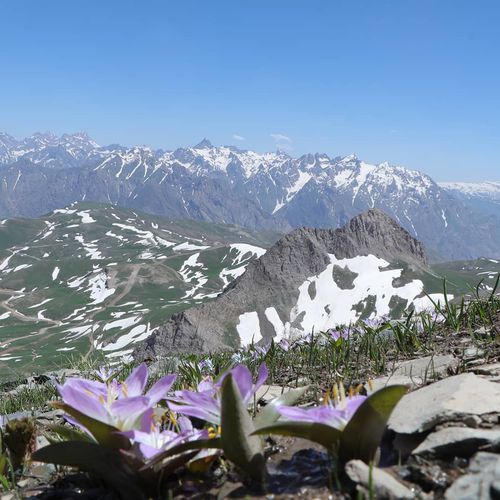 Berçelan Plateau
