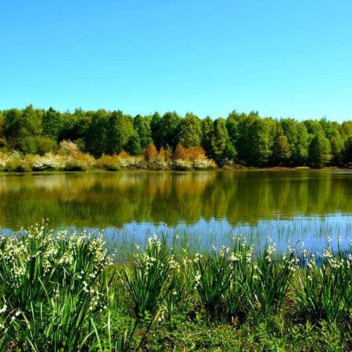 Dipsiz Lake