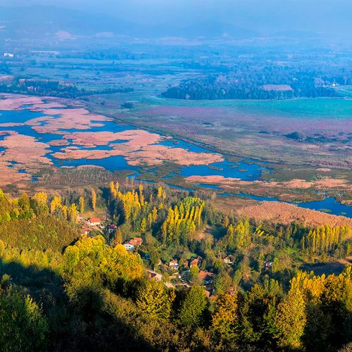 Efteni Lake