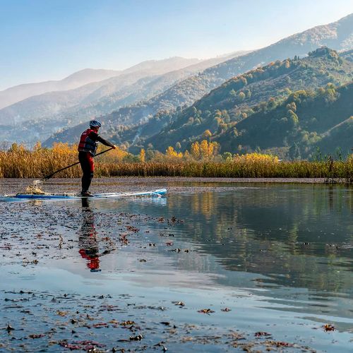 Efteni Lake