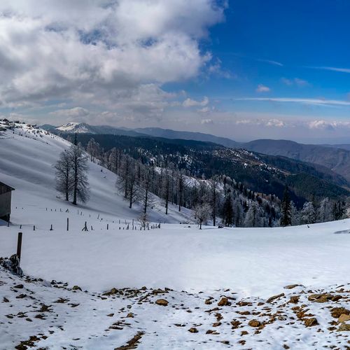 Kardüz Plateau
