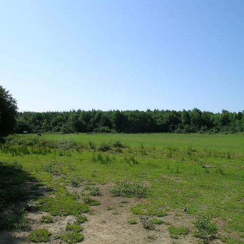 Karlık Plateau