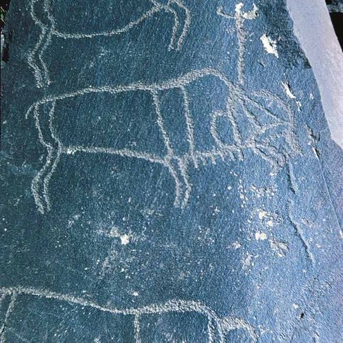 Rock Paintings