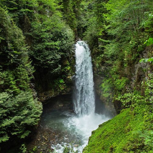 Palovit Waterfall