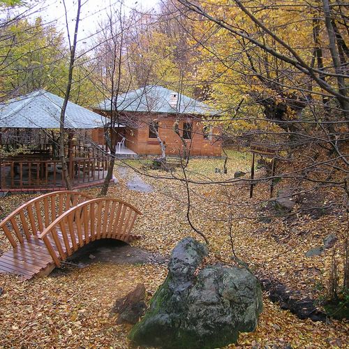 Yalova City Forest