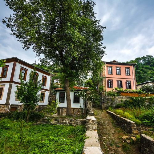 Zeytinlik District