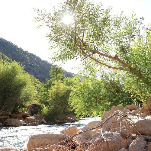 Botan Valley