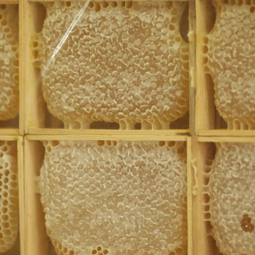 Flower Honey
