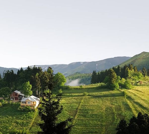 Türkiye's Environmentally Friendly Projects