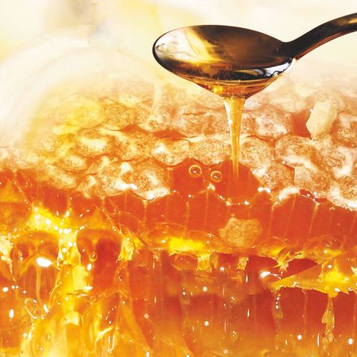 Honey