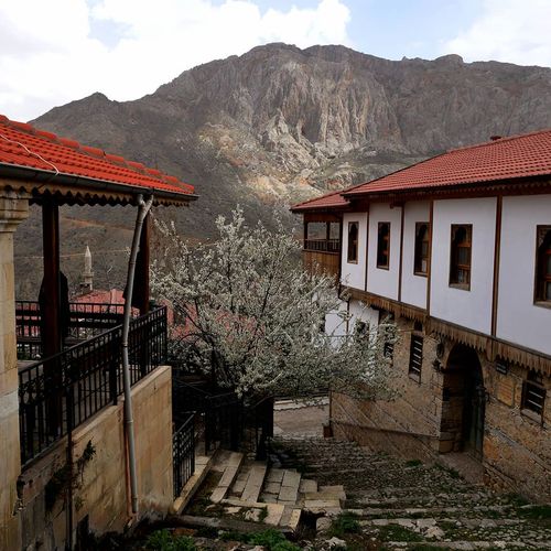 Kemaliye Houses