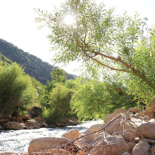 Botan Valley
