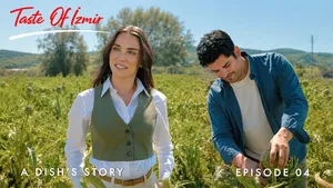 A Dish's Story
