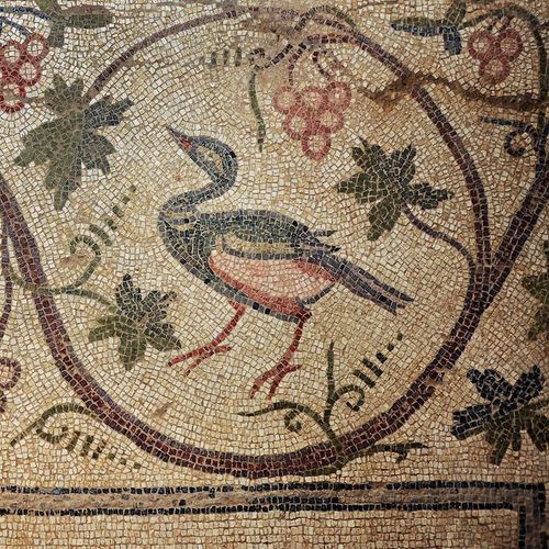 Germanicia Mosaic Field Archaeological Site
