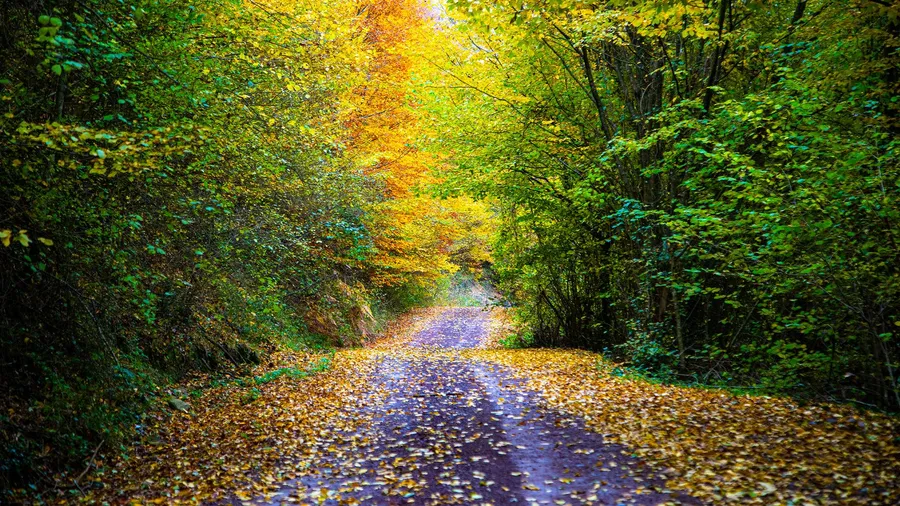 5-Day Autumn Route in İstanbul