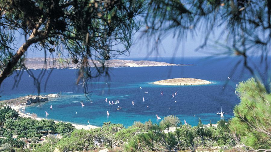 Foça
