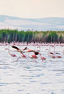 Sultandağı Eber Lake