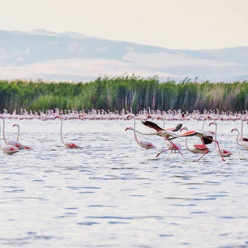 Sultandağı Eber Lake