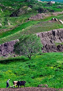Trail of Noah’s Ark