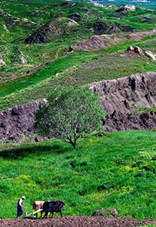 The Trail of Noah’s Ark