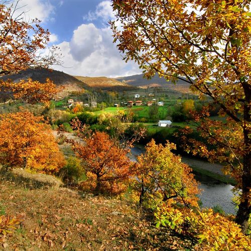 Akkuş