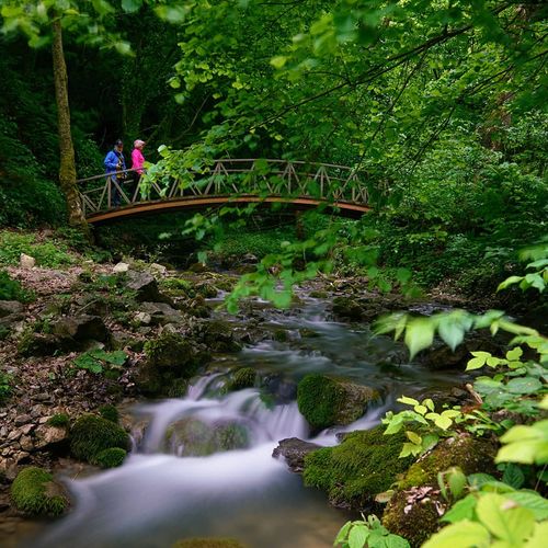 Aktaş Waterfall