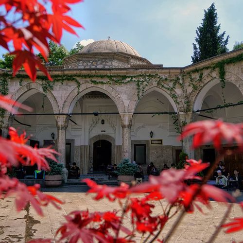 La Madraza Kapı Ağa