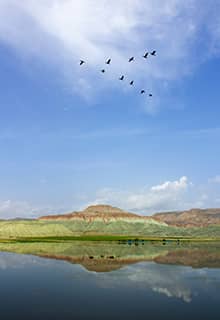 Nallıhan(纳勒汗)