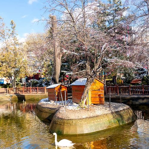 Parc Kuğulu