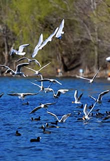 Eymir See