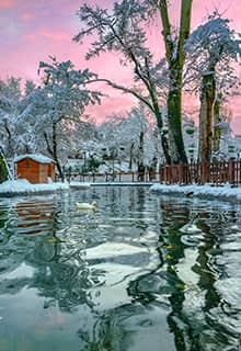 Kuğulu Park