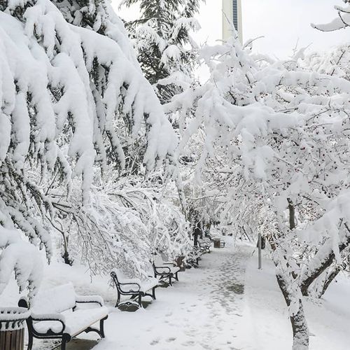 Botanical Garden