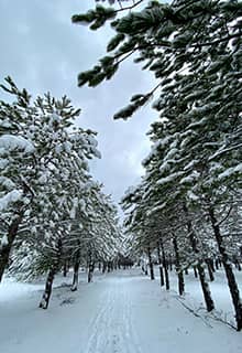 METU