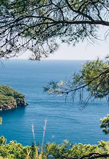 Olympos（奥林帕斯）