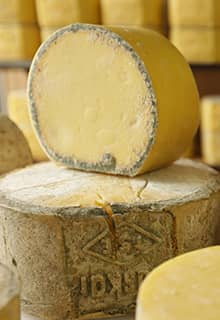 Fromage Kaşar