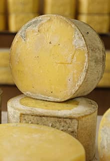 Kaşar Cheese