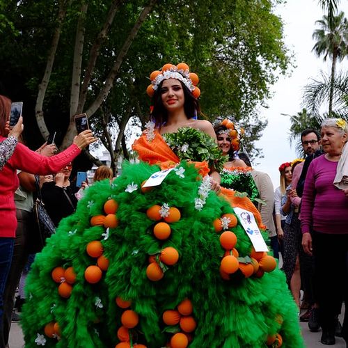 Orange Blossom Carnival