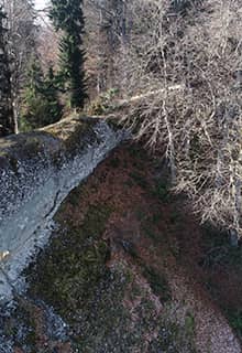 Гемикая