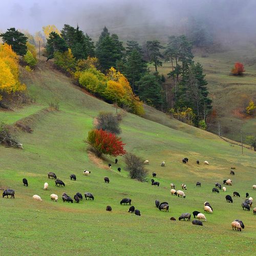 Bilbilan Plateau