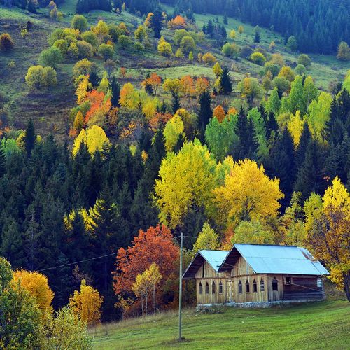 Savşat