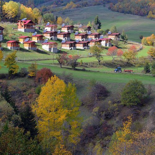 Savşat