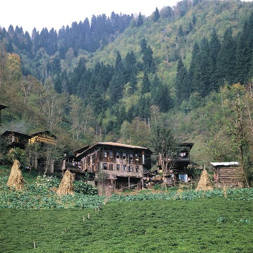 Artvin Houses