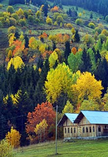 Savşat