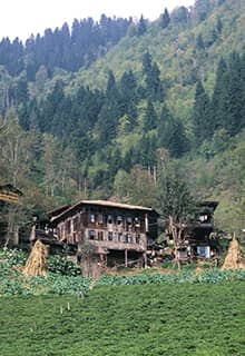 Artvin-Häuser