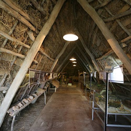 Aşağı Pınar Neolithic Period Exhibition